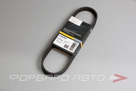 Купить Ремень поликлиновой CARBERRY 5PK705E