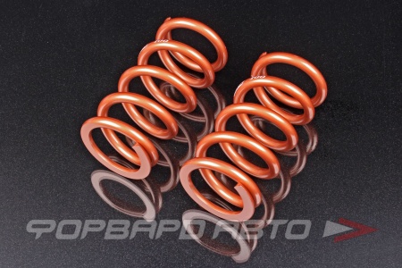 Купить Пружины для койловеров 10 кг, длина 178 мм, ID65мм, универсальные SWIFT Z65-178-100