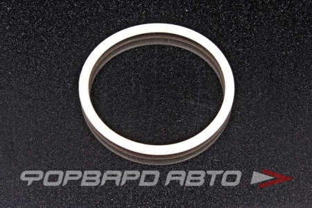 Купить Прокладка дроссельной заслонки, малая ROSTECO 20761