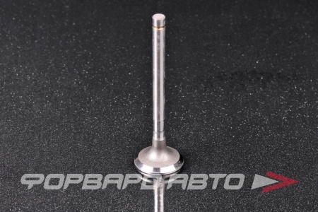 Купить Клапан выпускной N-ROCKY TB-75-0