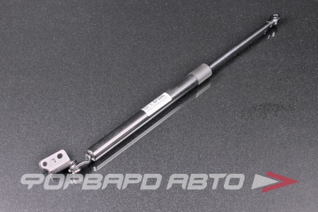 Купить Амортизатор задней двери Zekkert GF2395