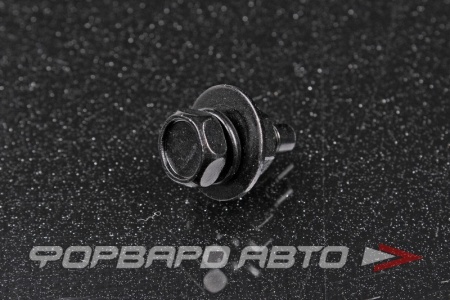 Купить Болт М6*1,0*13 с гайкой. черный MASUMA BJ-010