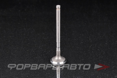 Купить Клапан выпускной N-ROCKY TB-110-0