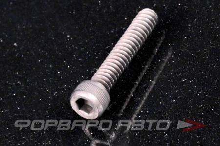 Купить Винт цилиндр. с внутренним шестигранником 3/16-24*1"(25мм) (FT) BSF (DIN912) 12.9  813111