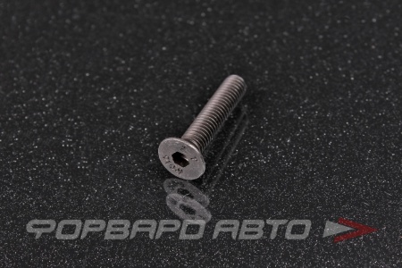 Купить Винт потайн. гол. внутр. шестигр. М6*30 DIN 7991 кл.пр.10,9 <> 