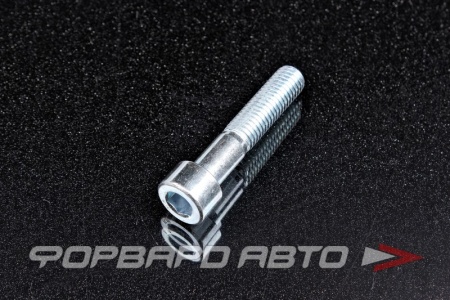 Купить Винт цилиндр. с внутренним шестигранником М10*50 DIN912 оцинков.  530K-M10*50