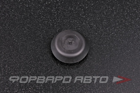 Купить Заглушка кузова D-15 TOYOTA 90950-01824