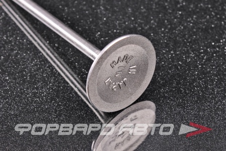 Купить Клапан впускной N-ROCKY SA-44-0