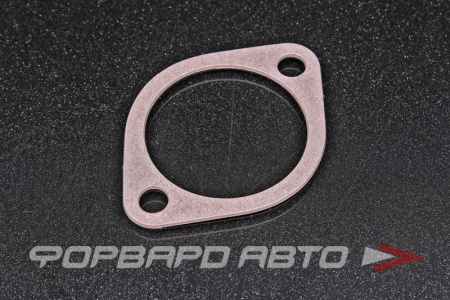 Купить Прокладка термостата TAMA P301