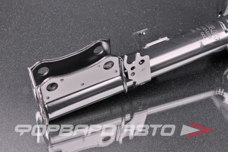Купить Амортизатор задний, правый MILES DG21206