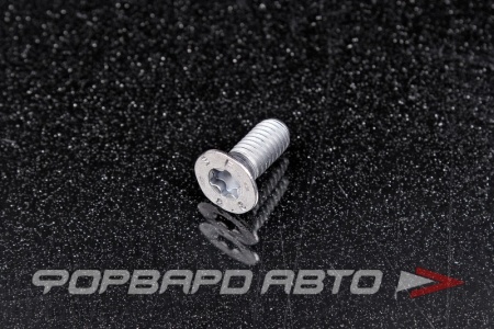 Купить Винт M6*1,0*11 тормозного диска конусный потайной Torx VAG N 106 483 01