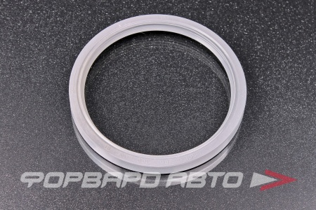 Купить Сальник 86*100*10 (LH) рез. NDK K1227943G02