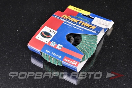 Купить Круг полировальный войлочный лепестковый d=125мм на липучке ПРАКТИКА 779-752