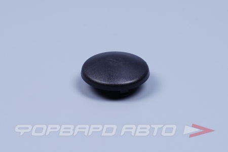 Купить Заглушка гайки дворника ВАЗ 21214-1104142 1118,2170 ПЛАСТИК 1118-5205176