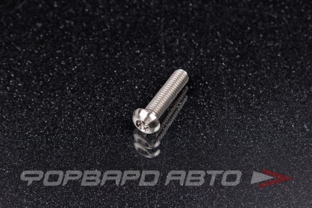 Купить Винт M6*1*25 титановый полукруглая головка, внутренний шестигранник FORA TITANIUM ISO7380-6*25Ti
