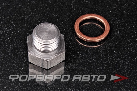 Купить Заглушка лямбда-зонда М18*1,5 мм CBD ZGL012
