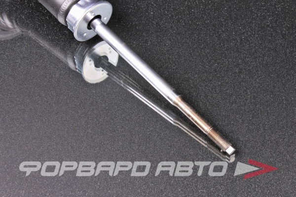 Амортизатор задний (Excel-G) L/R D12,5 KYB 341298