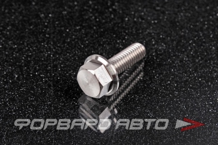 Купить Болт М6*1,0*20 титановый с фланцем FORA TITANIUM DIN6921-6*20Ti