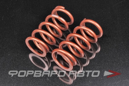 Купить Пружины для койловеров 8 кг, длина 178мм, ID65mm, универсальные SWIFT 
