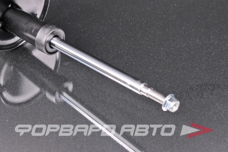 Купить Амортизатор передний MILES DG01033