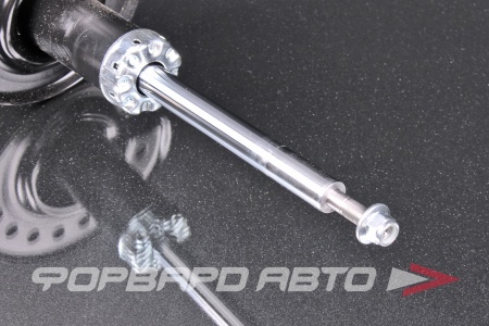 Купить Амортизатор передний, левый MILES DG11076