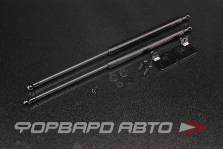 Купить Амортизаторы капота HONDA CRV 2003 AUTOBAHN88 