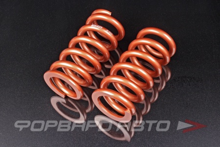 Купить Пружины для койловеров 22 кг, длина 203мм, ID65мм, универсальные SWIFT Z65-203-220