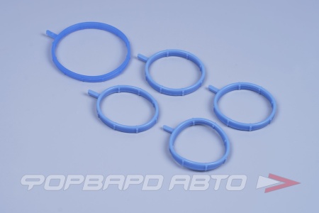 Купить Копмлект уплотнителей рессивера и дроссельной заслонки ВАЗ 2170 Приора 2, Калина 2 с электр. педалью (синий силик.) ПромТехПласт 21127-1008638/616