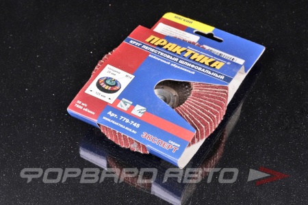 Купить Круг полировальный войлочный лепестковый d=125мм на липучке ПРАКТИКА 779-745