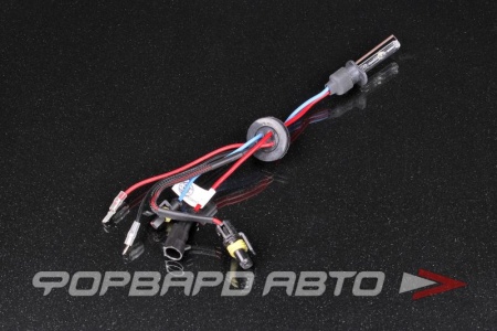 Купить Лампа ксенон H1 5000K AMP Китай 