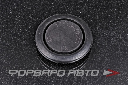 Купить Заглушка кузова D-35 HYUNDAI / KIA 17313-35000