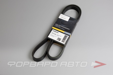 Купить Ремень поликлиновой CARBERRY 6PK1305