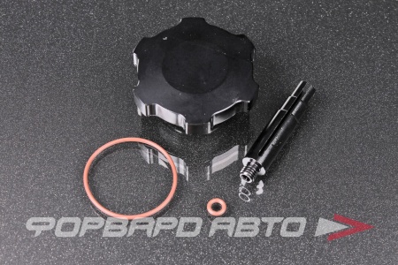 Купить Крышка бачка гидроусилителя BMW E36 E46 E90 E39 Z4 E82 EPMAN EP-AA01G176