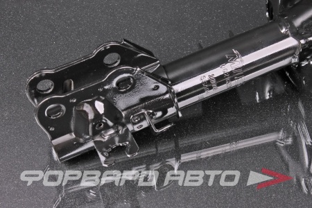 Купить Амортизатор передний, правый MILES DG21623