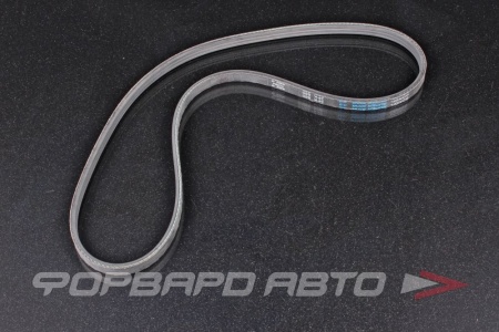 Купить Ремень поликлиновой DONGIL 3PK880