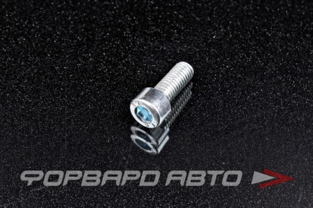 Купить Винт цилиндр. с внутренним шестигранником М8*20 DIN912 оцинков.  530K-M8-20