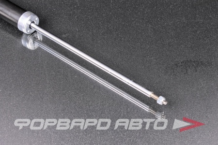 Купить Амортизатор задний MILES DG02689