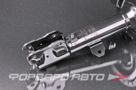 Купить Амортизатор передний, левый MILES DG111034