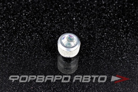 Купить Заглушка блока цилиндров HYUNDAI / KIA 15717-10081