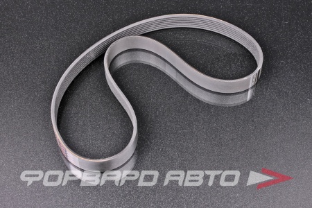 Купить Ремень RENAULT 117204148R