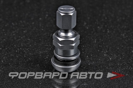 Купить Вентиль для бескамерных шин алюминий, серый RAYS 