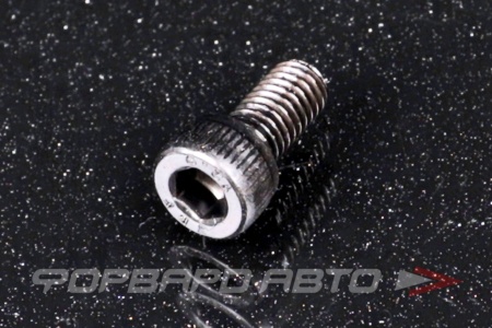 Купить Винт цилиндр. с внутренним шестигранником М5* 10 DIN912 высокопр. пр.12,9  