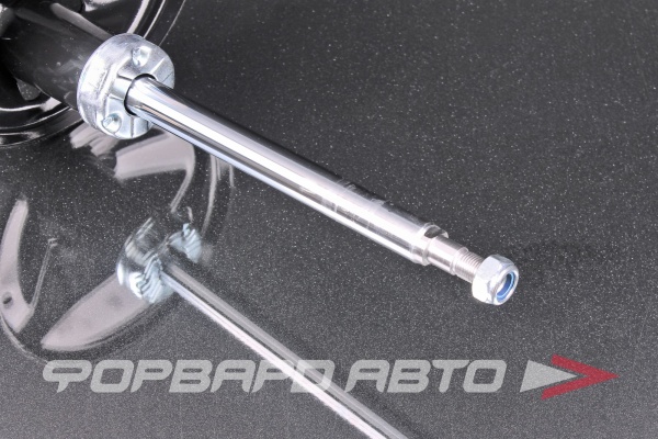 Амортизатор передний, правый MILES DG21322-01