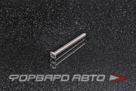 Купить Винт полукруглый под внутренний шестигранник М3*30 <> (iSO 7380-1)A2