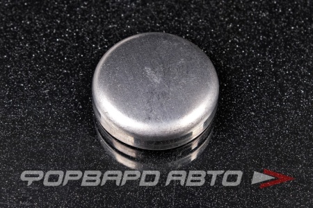 Купить Заглушка головки блока цилиндра D30 HYUNDAI / KIA 15734-30000