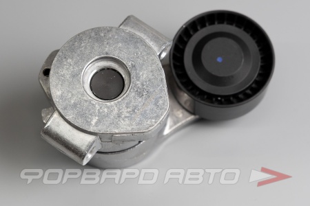 Купить Натяжитель приводного ремня CARBERRY 55CA274