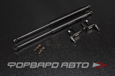 Купить Амортизаторы капота MAZDA 3 4D 03 AUTOBAHN88 