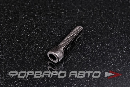 Купить Винт цилиндр. с внутренним шестигранником 1/4-20*1"(25мм) UNC (DIN912) 12.9  