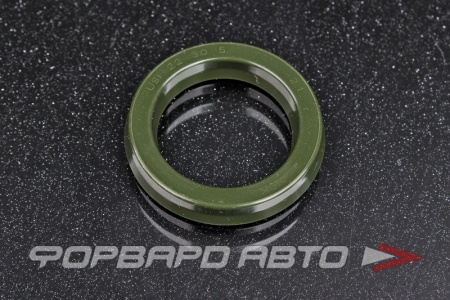 Купить Манжет 22*30*5 (USI) NOK FU2467-SOO