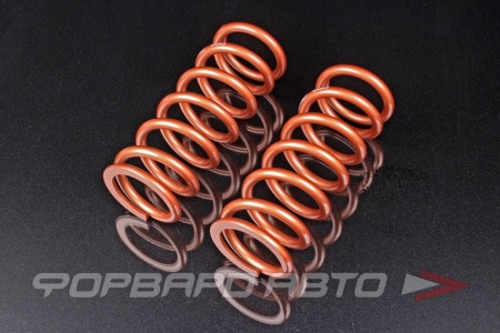 Купить Пружины для койловеров 6 кг, длина 228мм, ID65мм, универсальные SWIFT Z65-228-060